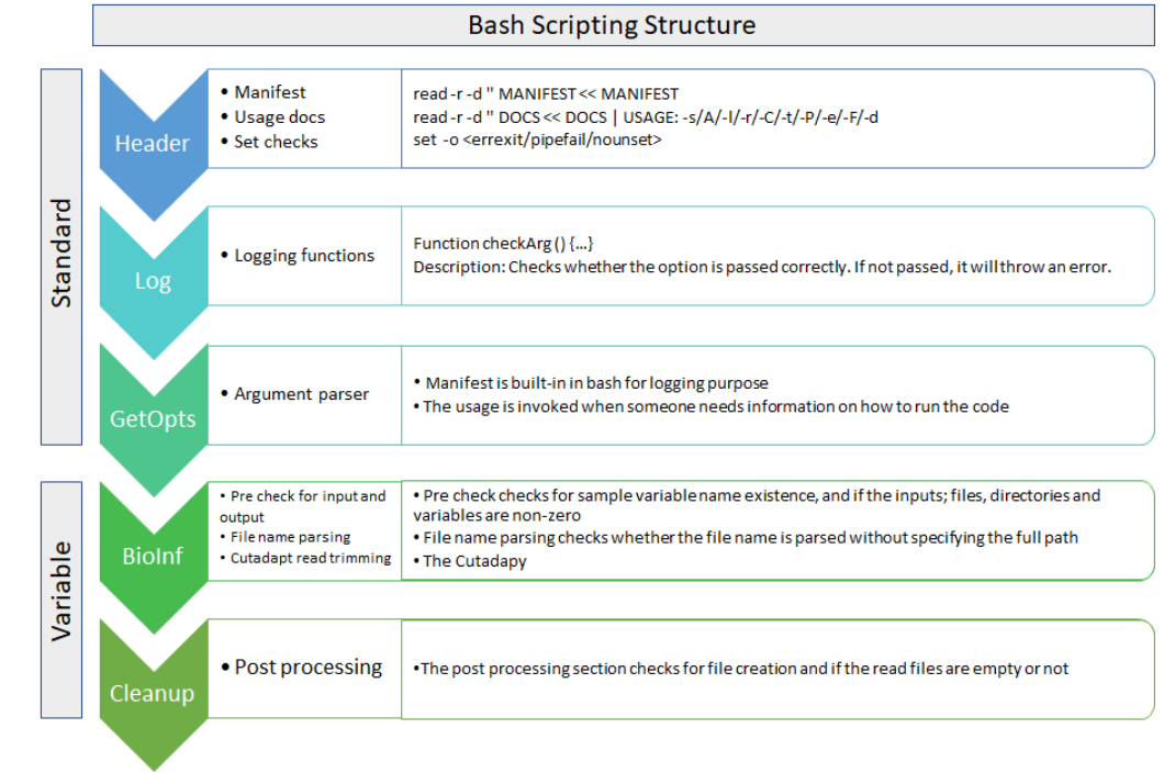 Bash_Scripting