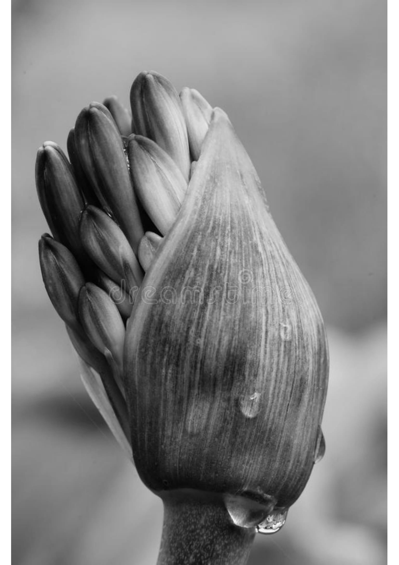 github-piyushgoyal16-test-this-repo-is-for-testing-of-markdown-files