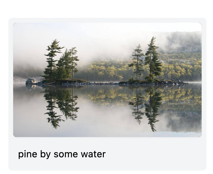 Screen Shot 2022-11-02 at 12 48 50