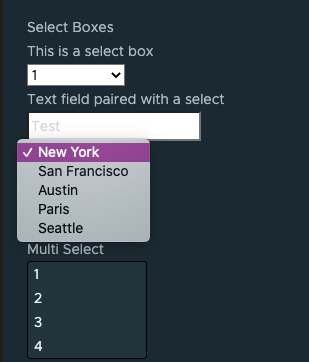 Screen Shot 2021-02-01 at 3 55 58 PM