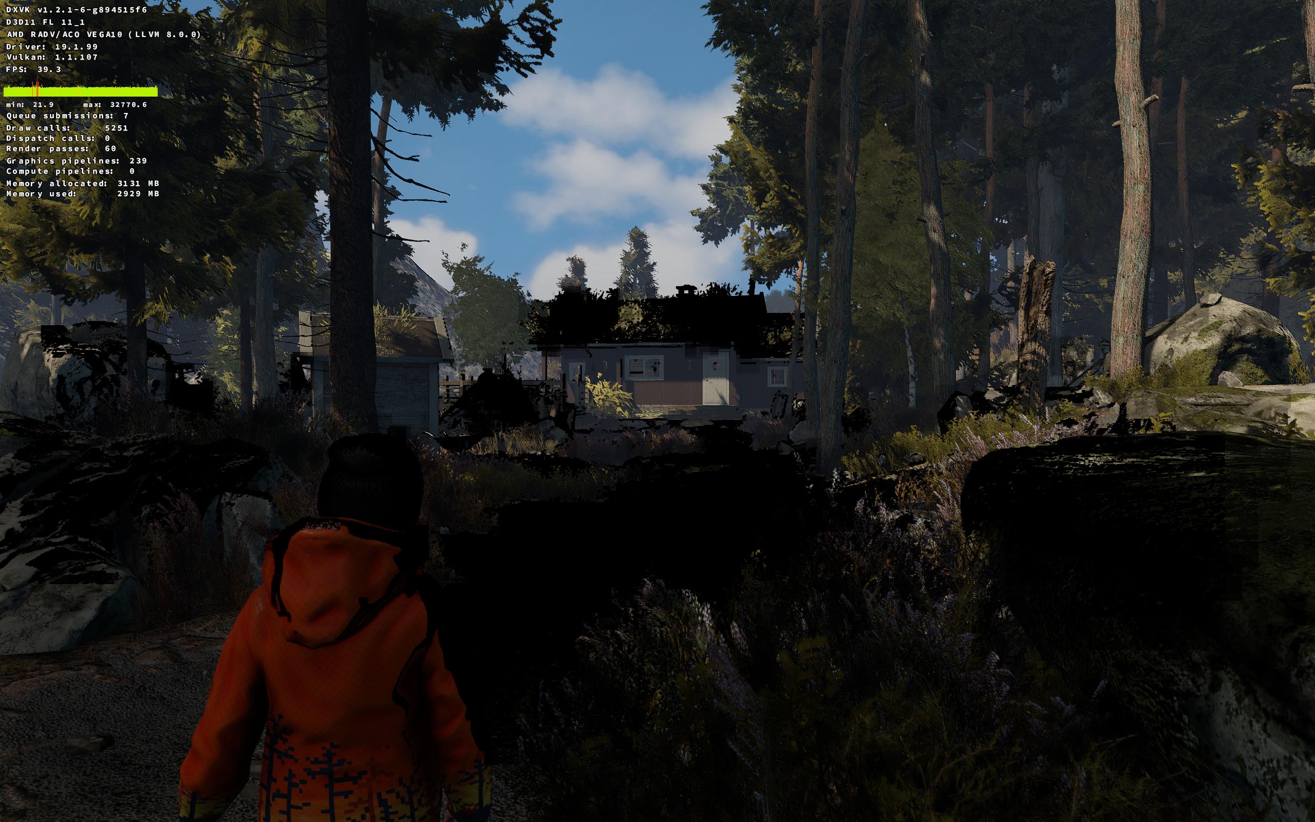 woods
