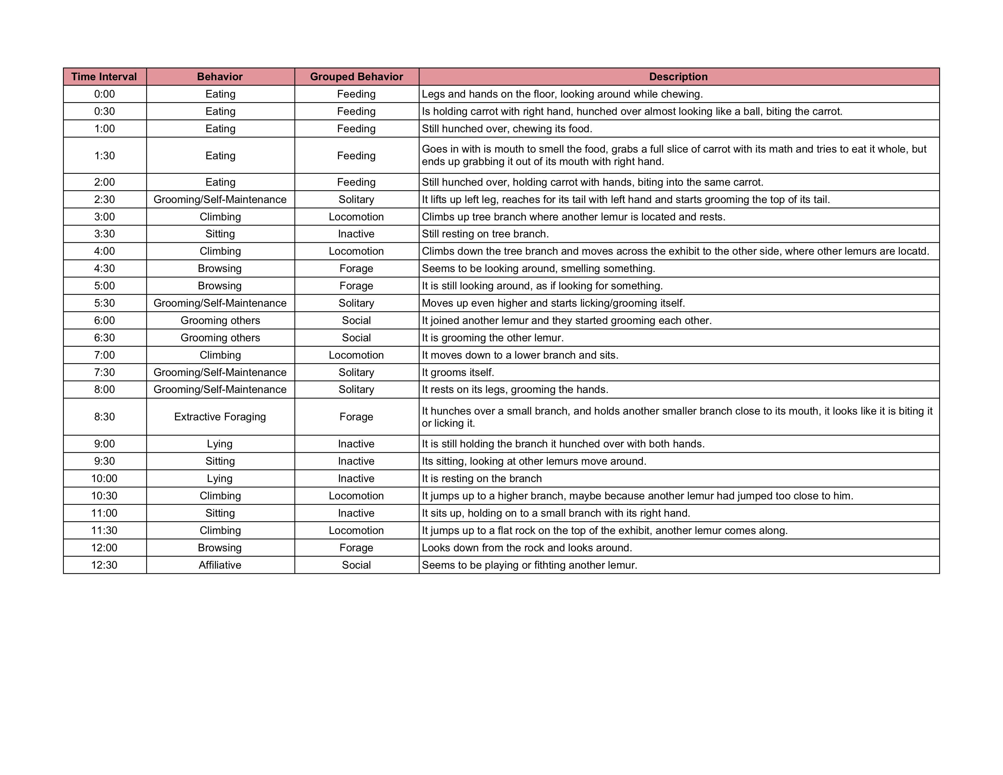 lemur - sheet1