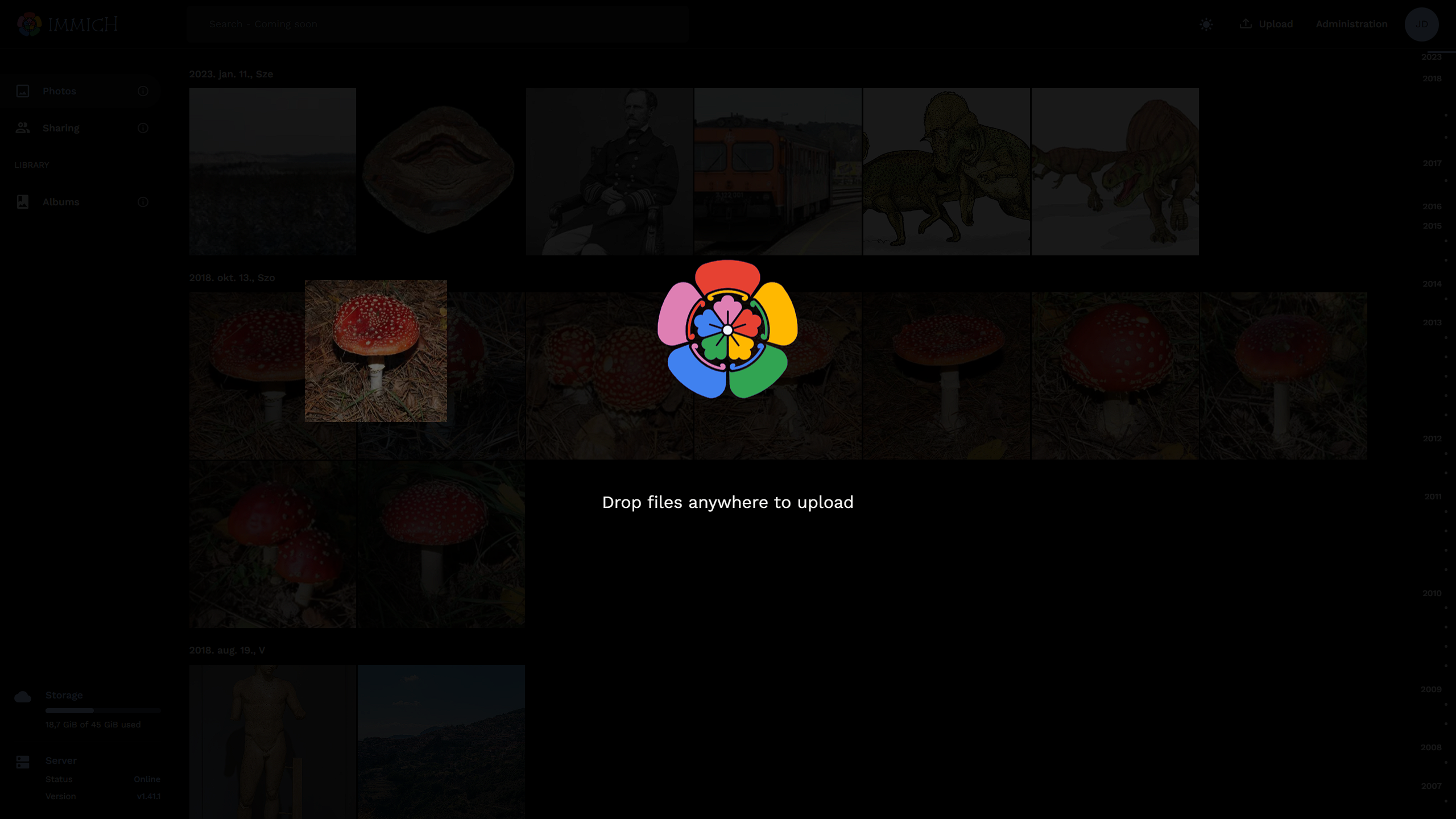 immich_drag_and_drop_bug