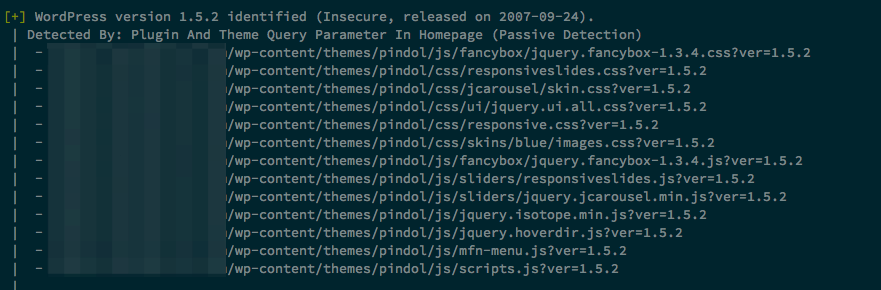 Incorrect WP version identified by 'Plugin And Theme Query Parameter In ...