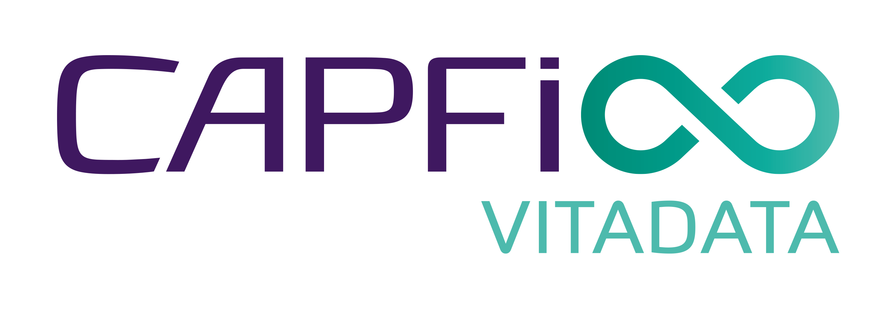 Logo CAPFI VitaData