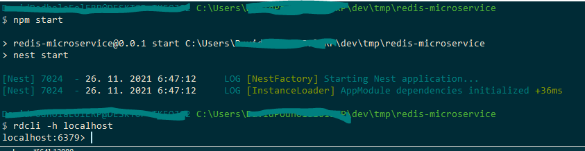 Redis microservice does not start · Issue #8710 · nestjs/nest · GitHub