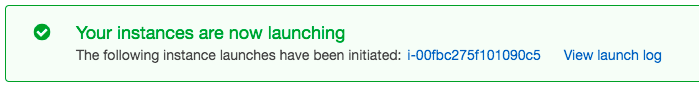 launched-instances