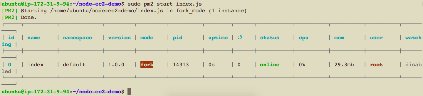 running-with-pm2