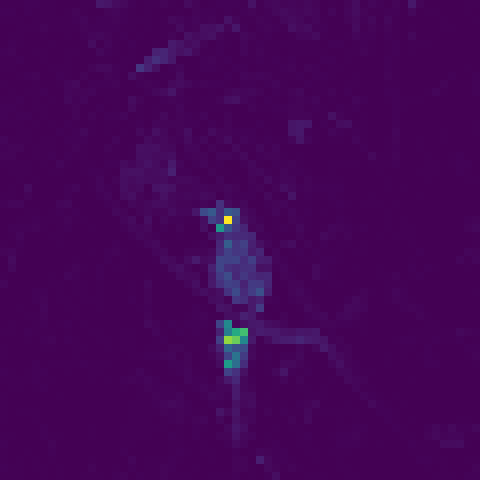 attn-head3