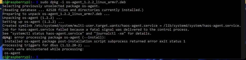 [ARMv6] Installation problem · Issue #68 · home-assistant/os-agent · GitHub
