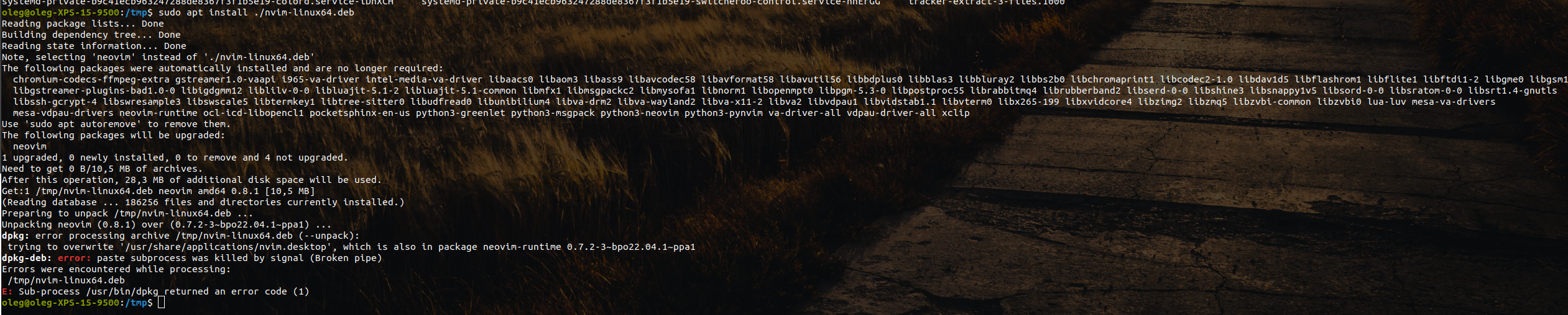Cannot install from .deb package · Issue #21152 · neovim/neovim · GitHub