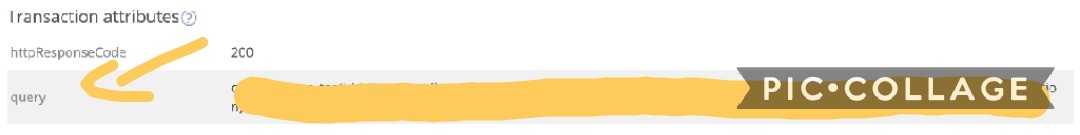 full GraphQL query string as a custom attribute