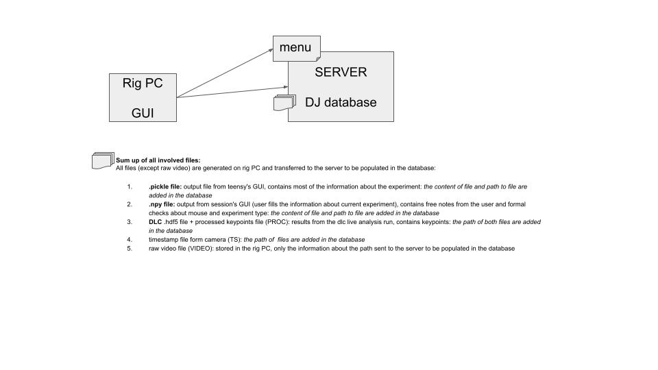 Untitled presentation(4)