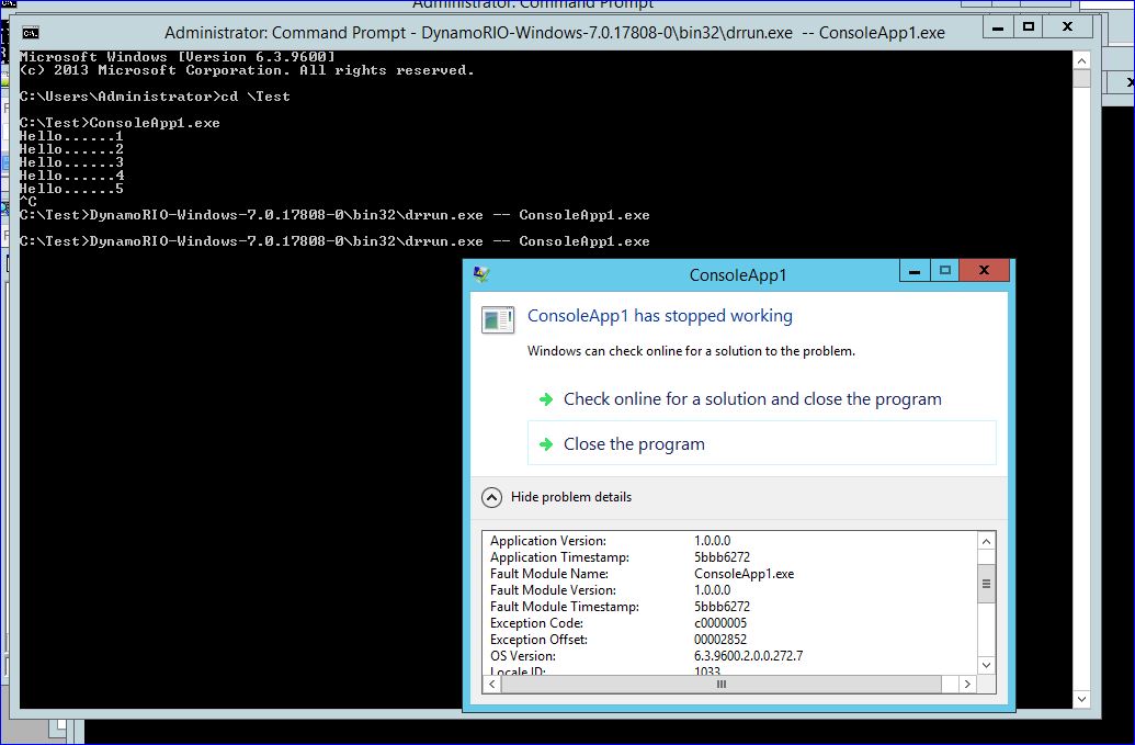 drrun-crash-with-dotnet-console-application-capture