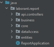 GitHub - muhammetemrevatan/LabReport: laboratory reporting system