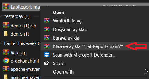 GitHub - muhammetemrevatan/LabReport: laboratory reporting system