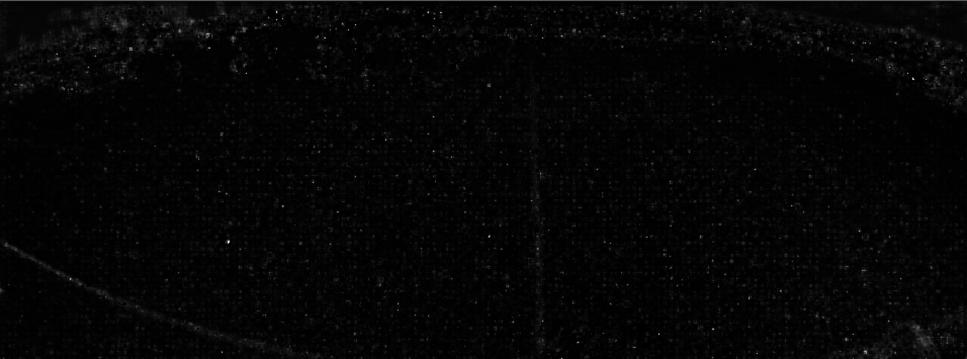 Screen Shot 2022-01-14 at 3 18 10 PM