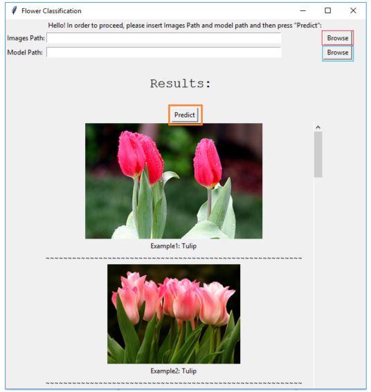 GitHub - yehudapashay/Flower_Classification: Flowers classification ...