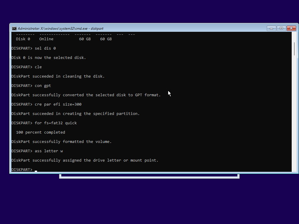 cre par efi size=300, for fs=fat32 quick, ass letter w