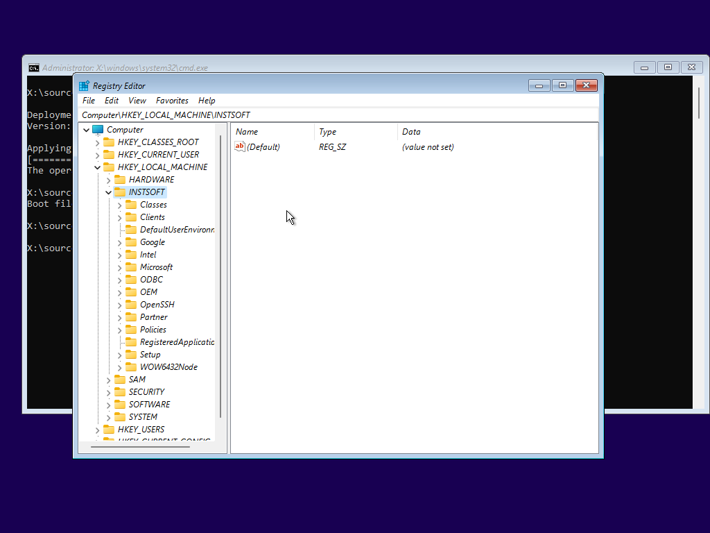 The install's HKEY_LOCAL_MACHINE\SOFTWARE loaded as INSTSOFT.