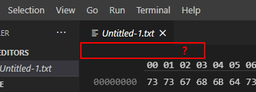 Minor UI bug · Issue #107502 · microsoft/vscode · GitHub