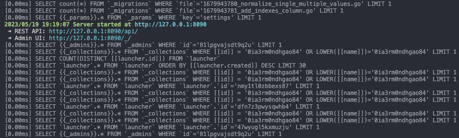 How to save all query on terminal? · pocketbase pocketbase · Discussion ...