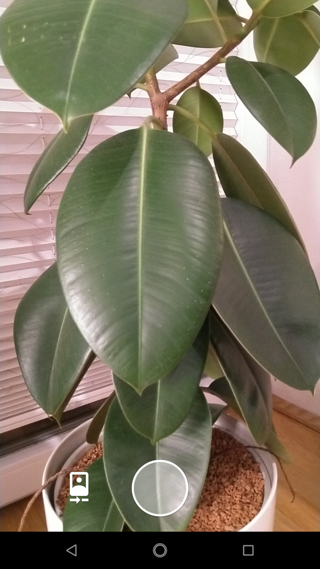 screenshot_20181026-220414