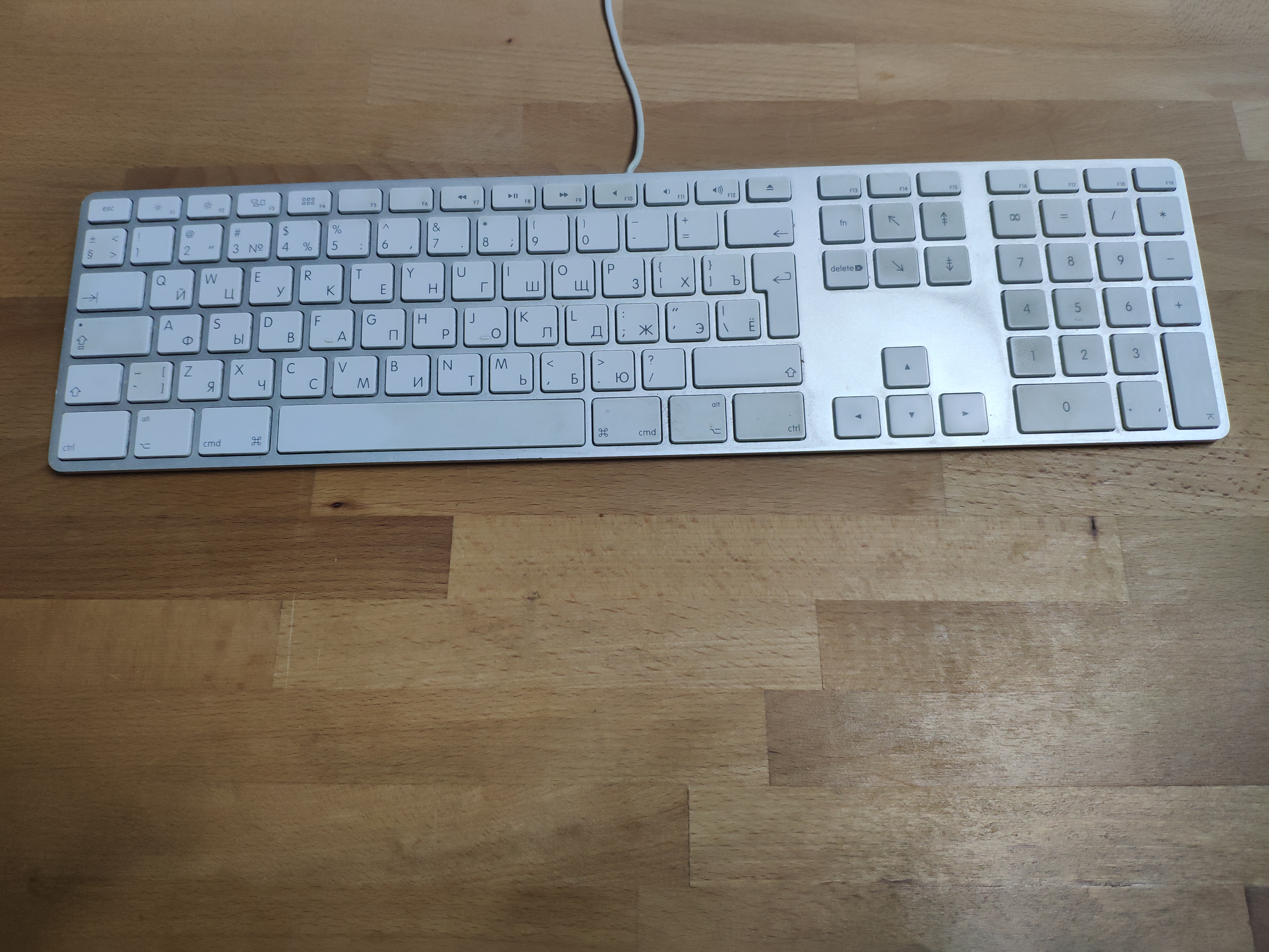 45348057544_ccdddaceec_o