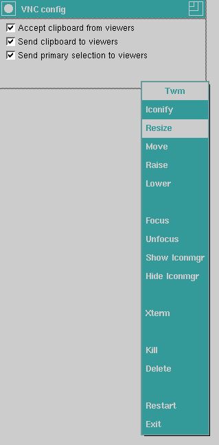 VNC Config lost for X11 Display · Issue #757 · TigerVNC/tigervnc · GitHub