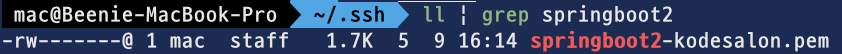 ll | grep springboot2