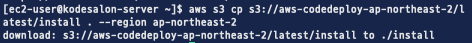codedeploy download