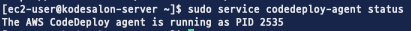 codedeploy-agent status