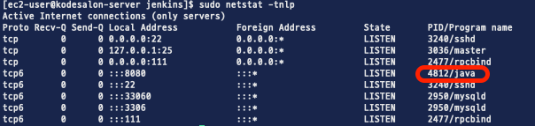 jenkins deploy test 4