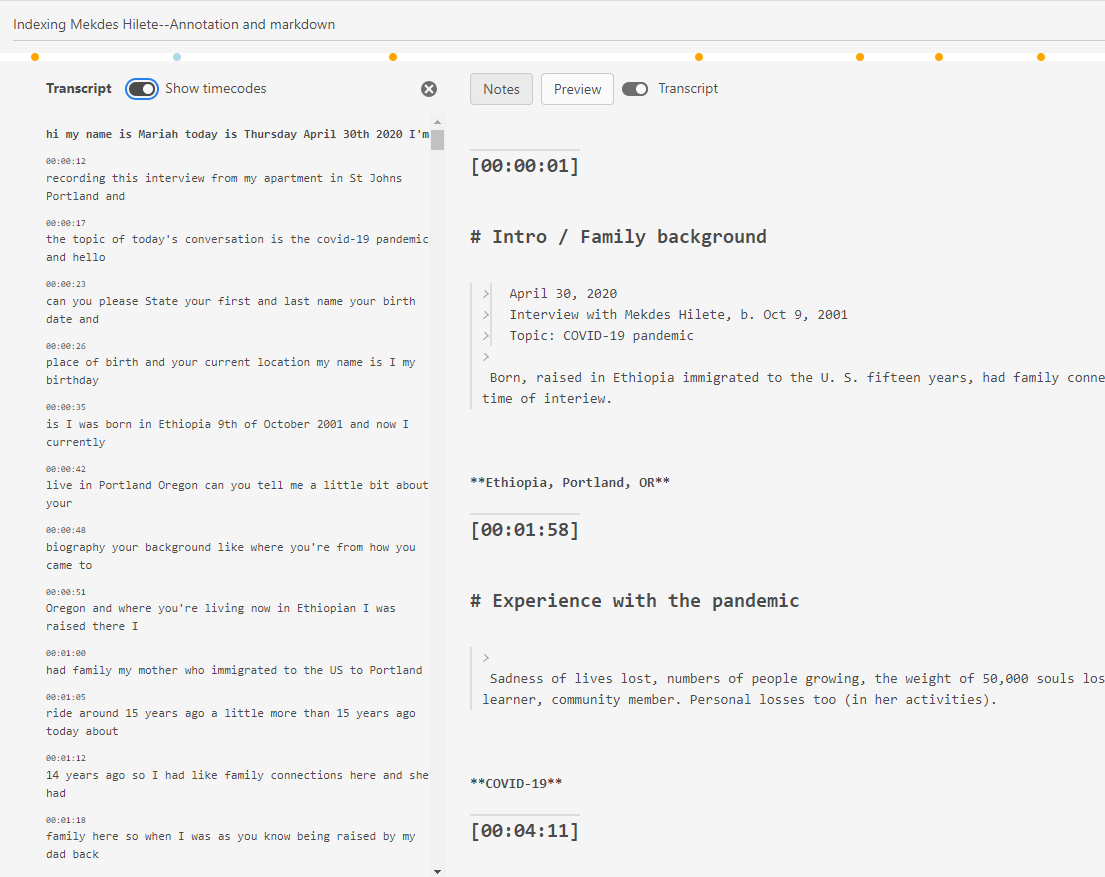 The transcript pane in TIM, revealed