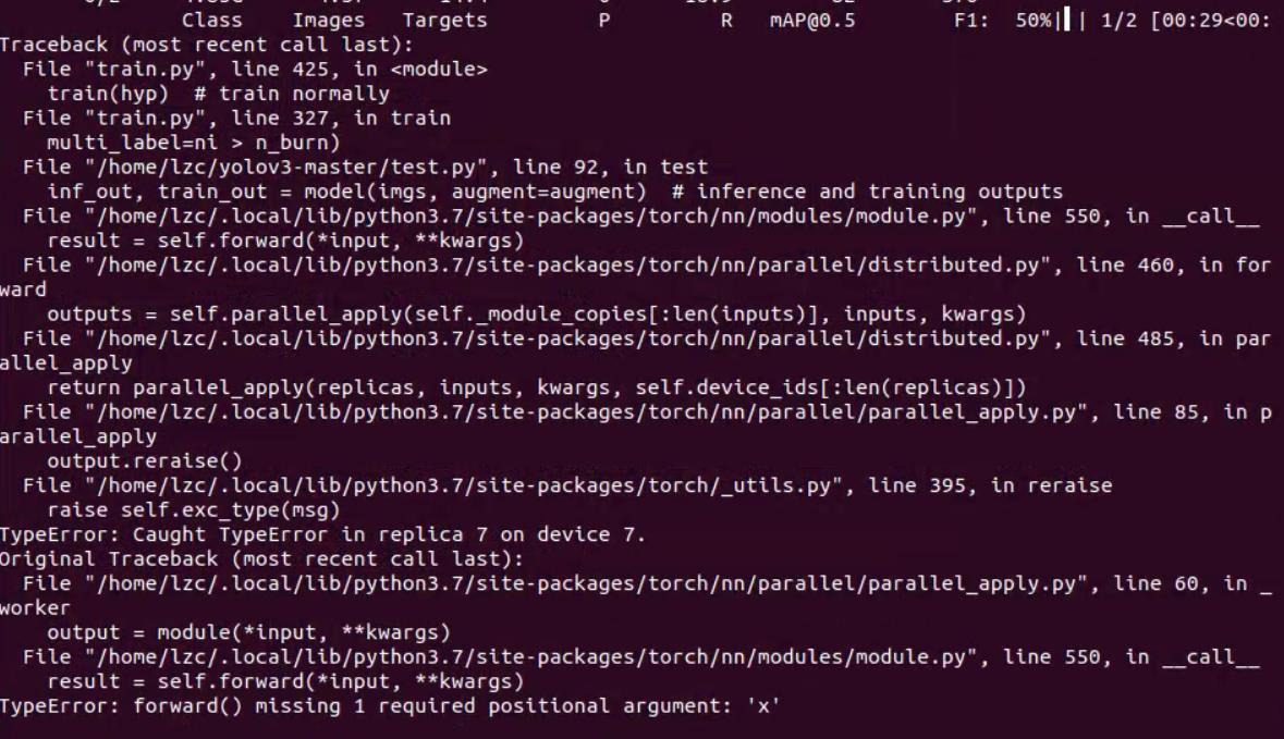 TypeError: forward() missing 1 required positional argument: 'x ...