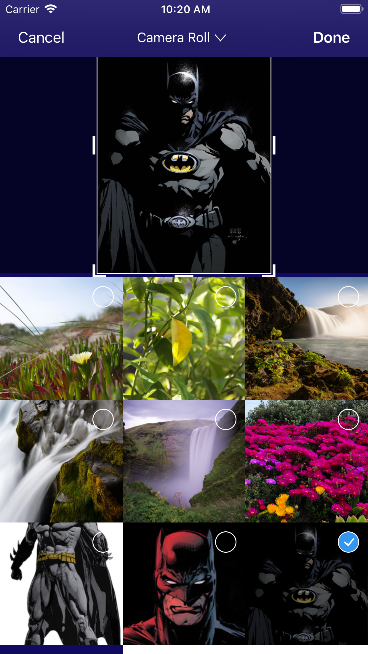 Simulator Screen...
The top of the crop tool / grid is cut off for me. ![Simulator Screen Shot - iPhone 8 Plus - 2019-05-15 at 10 20 49