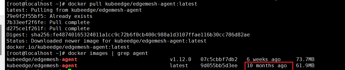 【部署安装问题】edgemesh:v1.12.0手动配置部署失败 · Issue #403 · kubeedge/edgemesh · GitHub