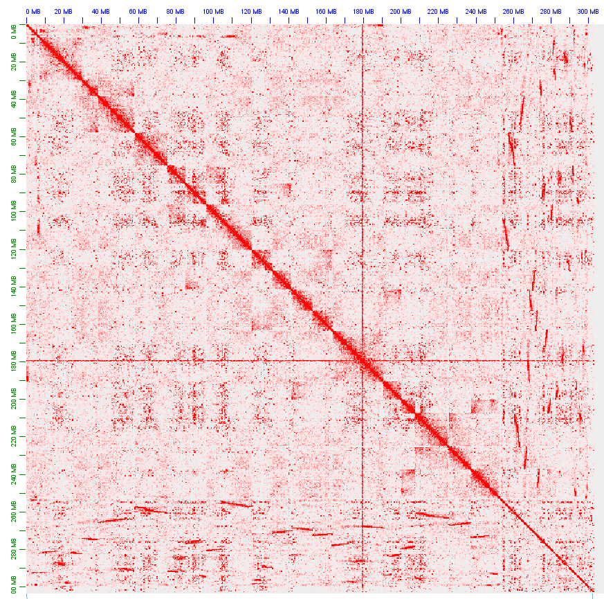 Broken Pipeline in 'finalize' step · Issue #29 · aidenlab/3d-dna · GitHub