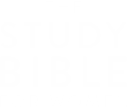 study-bible-for-women