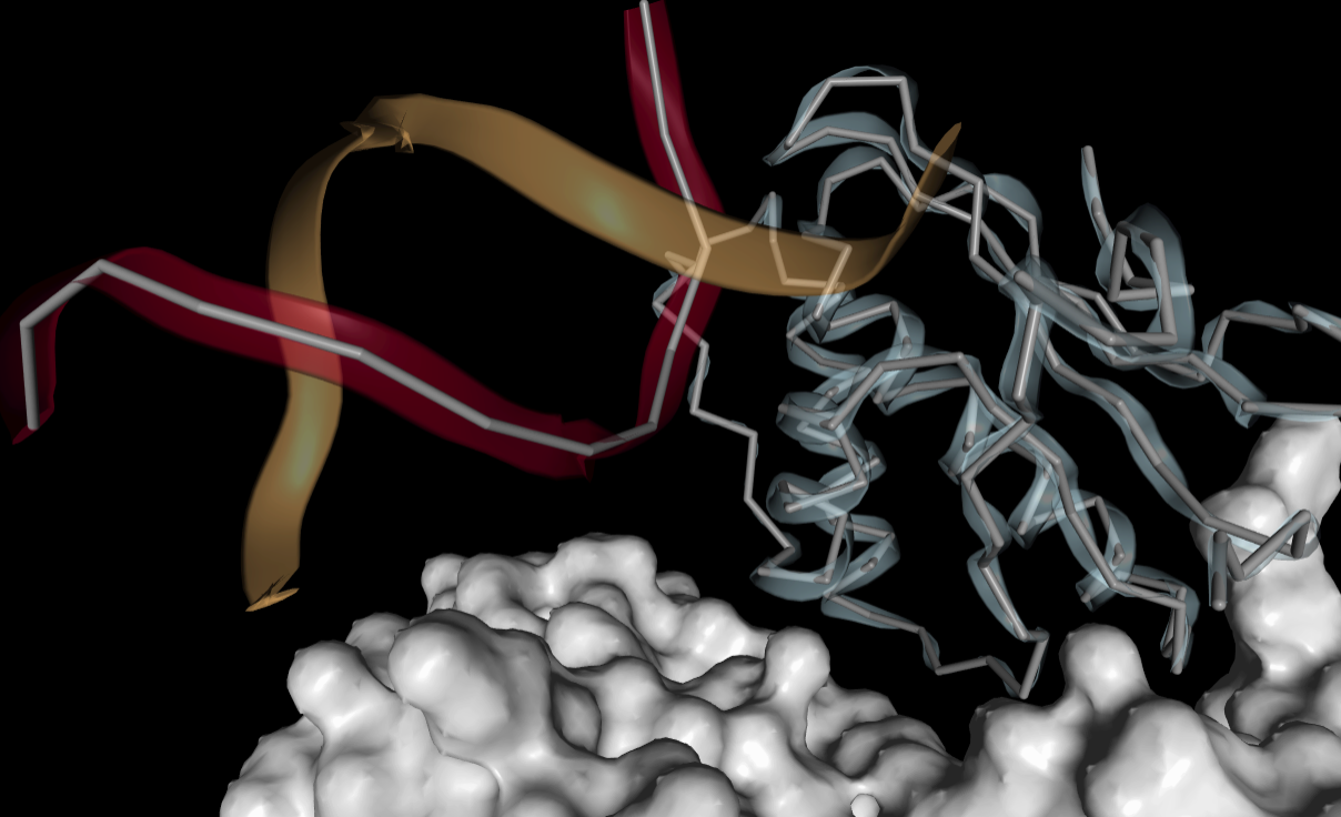 Captura de pantalla de 2021-03-11 17-31-31