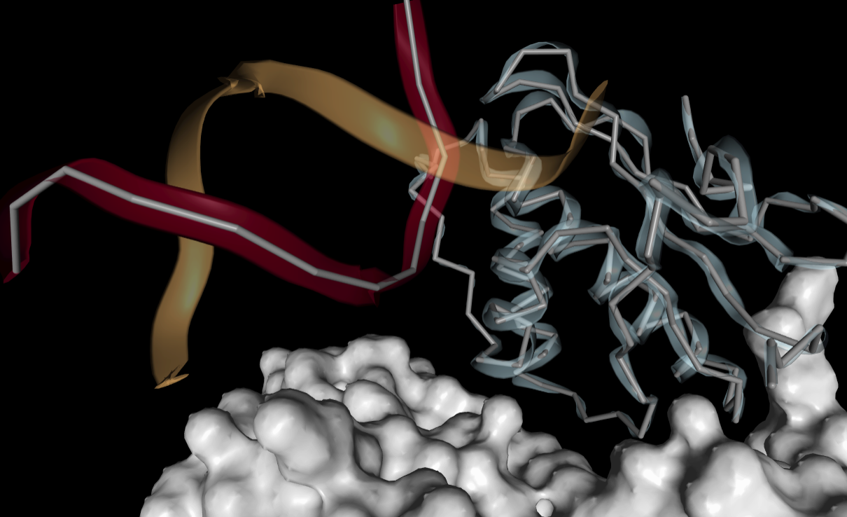 Captura de pantalla de 2021-03-11 17-30-58