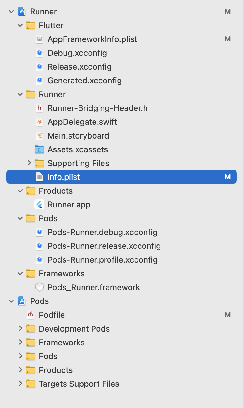 Flutter: Runner.app/Info.plist does not exist. The Flutter “Thin Binary ...