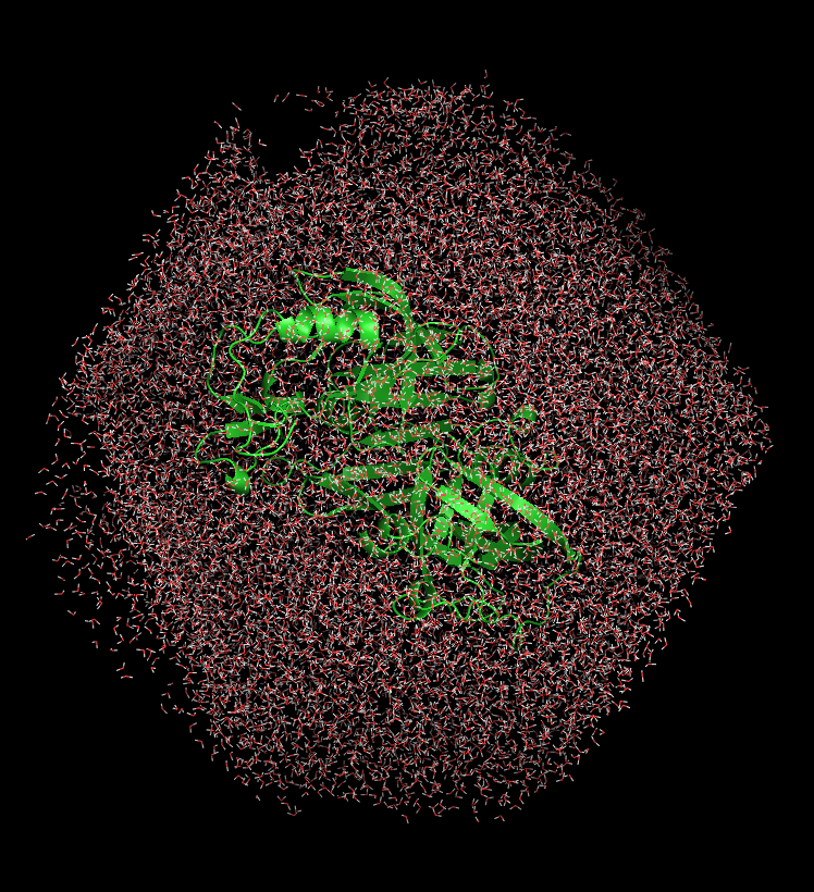 Screen Shot 2020-11-09 at 2 48 12 PM