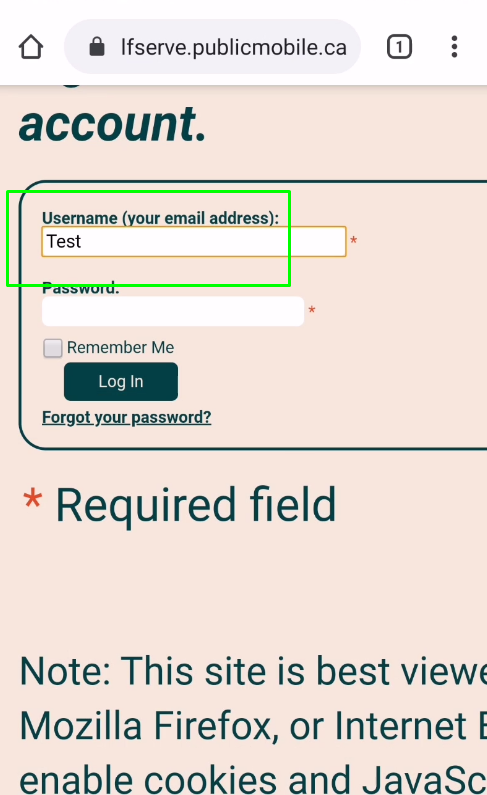 Selfserve publicmobile ca The Font Size Is Not Adjusted To The Input 