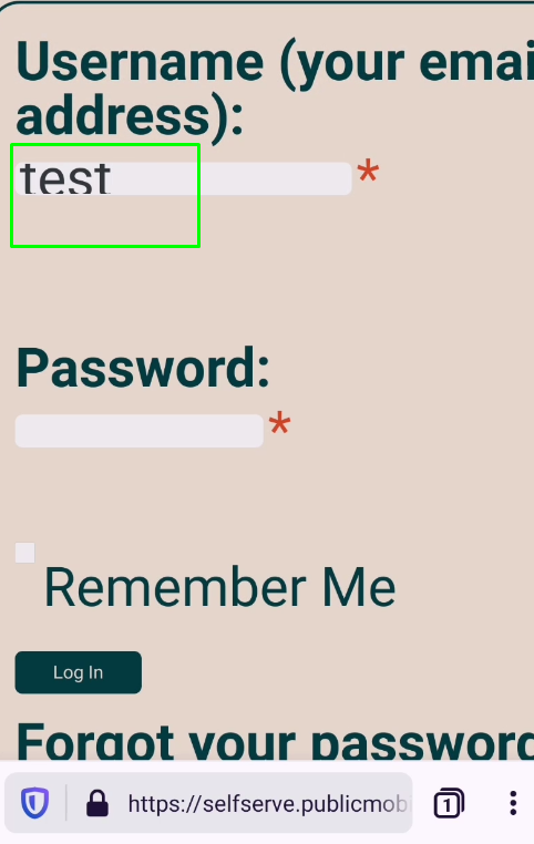 Selfserve publicmobile ca The Font Size Is Not Adjusted To The Input 