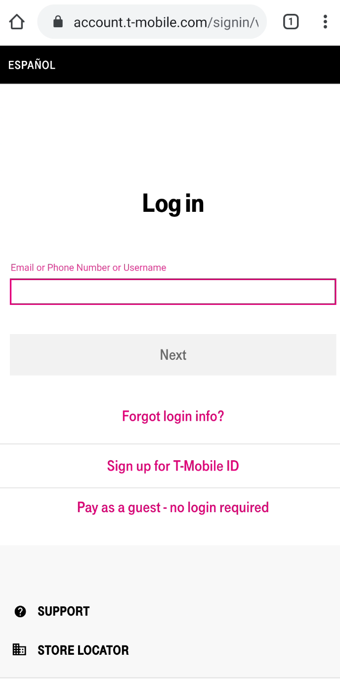 The login page is endlessly loading · Issue