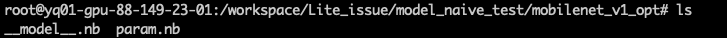 
opt_resulted_model
