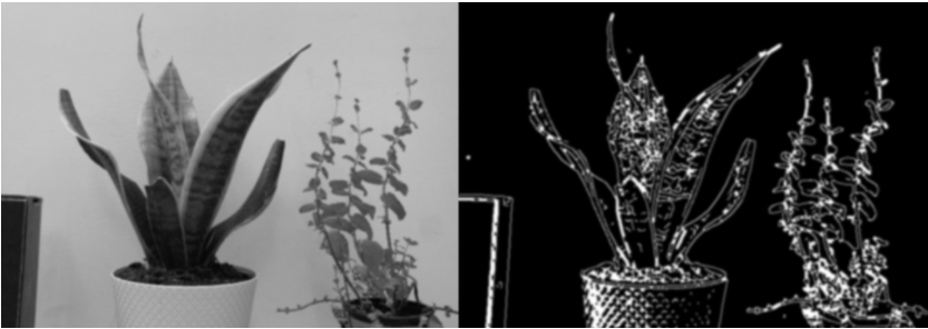 GitHub - HsiaHao/Automated-Plant-Care-System