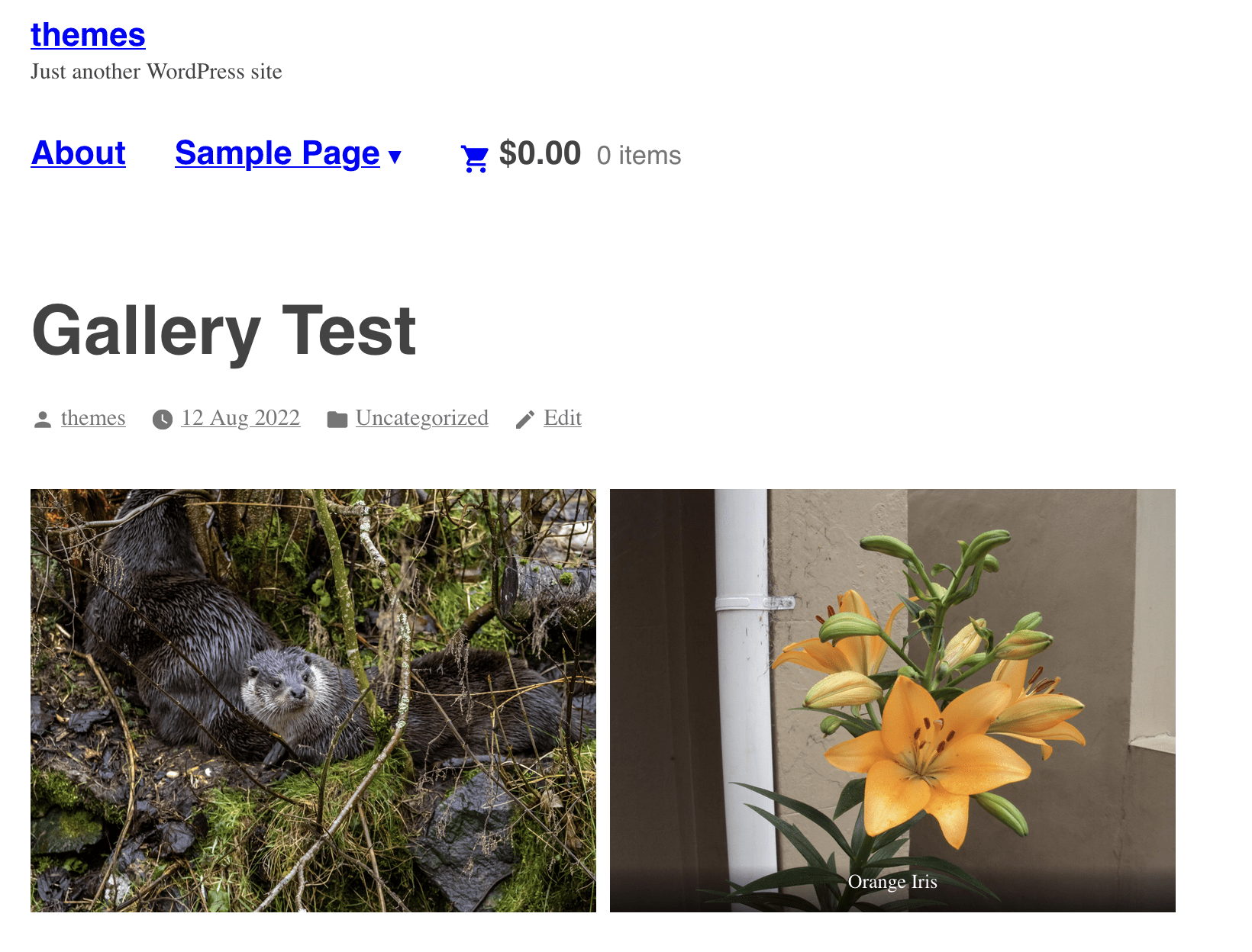 Screenshot on 2022-08-12 at 15-04-38