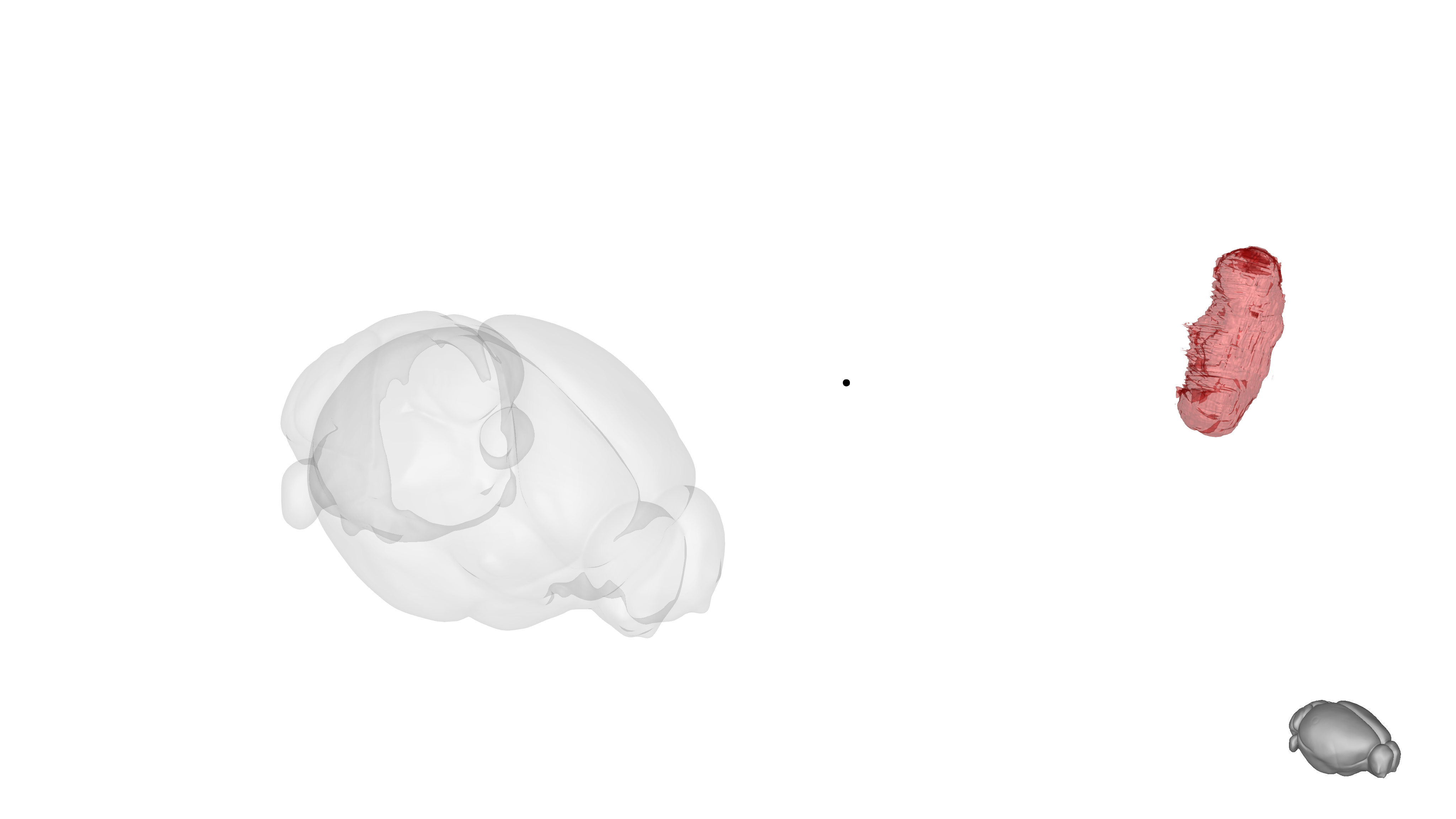 Loading Custom Meshes · Issue #55 · brainglobe/brainrender · GitHub